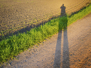 Image showing Shadow at sunset