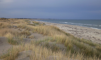 Image showing Beach