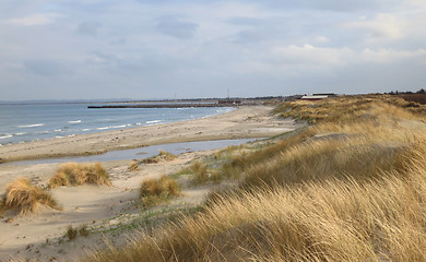 Image showing Beach