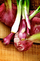 Image showing Garlic and Onion