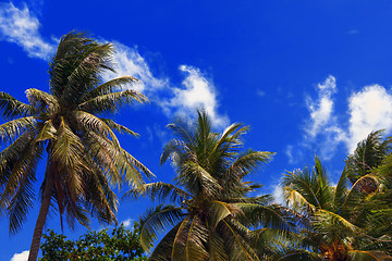 Image showing Thailand Blue Sky.