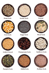 Image showing Seed Assortment