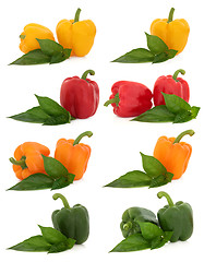 Image showing Pepper Selection