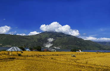 Image showing Lake Toba Panorama.