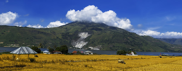 Image showing Lake Toba Panorama.