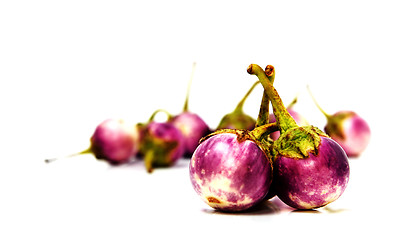 Image showing Group of small Egg-plants. Aubergine.