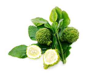 Image showing Fresh green lime. Kafir