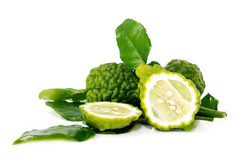 Image showing Fresh green lime. Kafir