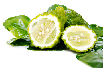 Image showing Fresh green lime. Kafir