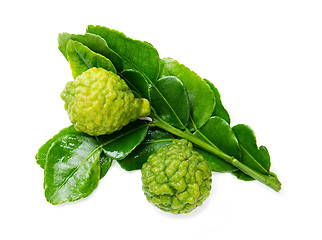 Image showing Fresh green lime. Kafir