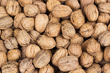 Image showing Walnuts