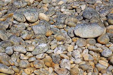 Image showing Pebbles