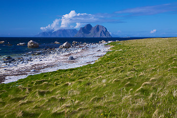 Image showing Scenic beach on Lofoten islands