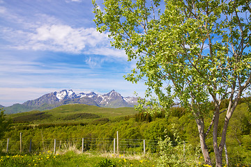 Image showing Summer in Norway