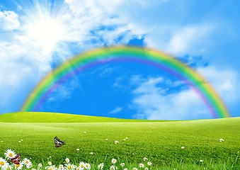 Image showing Rainbow over a green glade