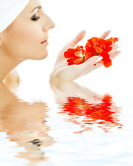 Image showing red petals in water #3