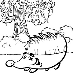 Image showing hedgehog cartoon for coloring book