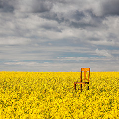 Image showing Lonely chair on the empty rape field