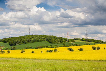 Image showing Rape field and blue sky