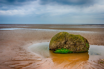 Image showing Lonely stone on the beach