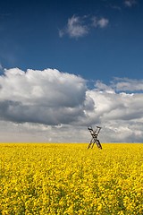 Image showing Hunting tower on the rape field