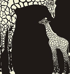 Image showing Inverse giraffe animal camouflage