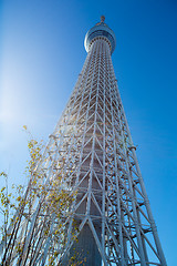 Image showing Tokyo Sky Tree