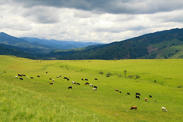 Image showing Salta