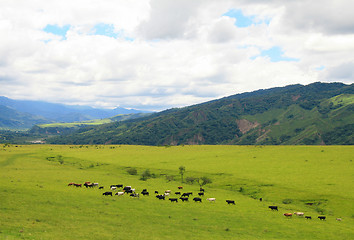 Image showing Salta