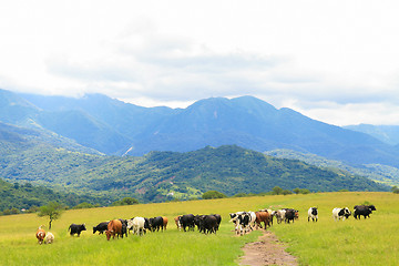 Image showing Salta