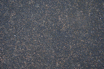 Image showing Black soil texture