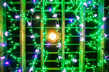 Image showing garden night scene at christmas time in the carolinas