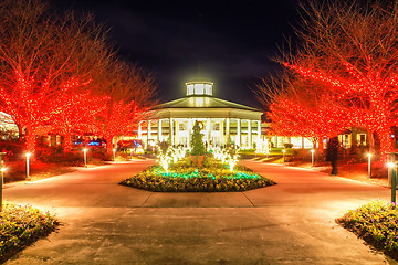 Image showing garden night scene at christmas time in the carolinas