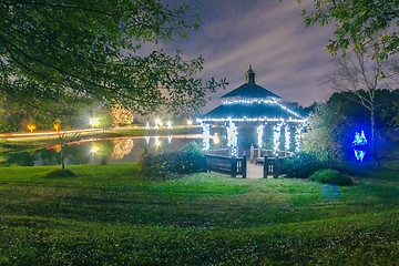 Image showing garden night scene at christmas time in the carolinas