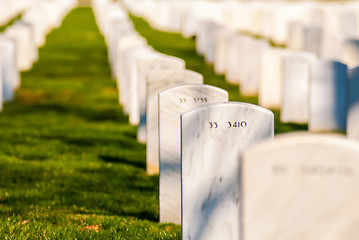 Image showing at arlington cemetary