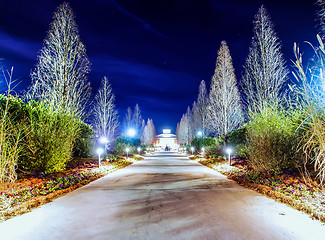 Image showing garden night scene at christmas time in the carolinas