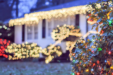 Image showing garden night scene at christmas time in the carolinas