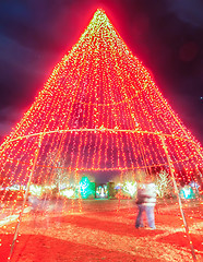 Image showing garden night scene at christmas time in the carolinas