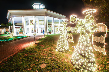 Image showing garden night scene at christmas time in the carolinas