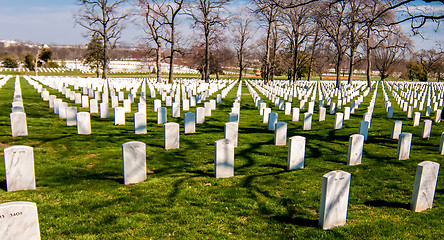 Image showing at arlington cemetary