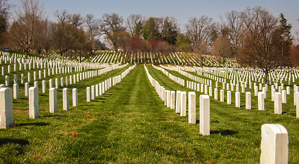 Image showing at arlington cemetary