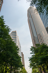 Image showing Uptown Charlotte, North Carolina Cityscape