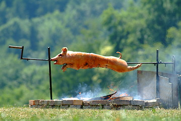 Image showing suckling pig