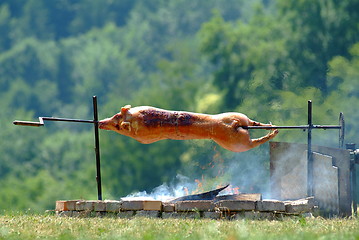 Image showing suckling pig