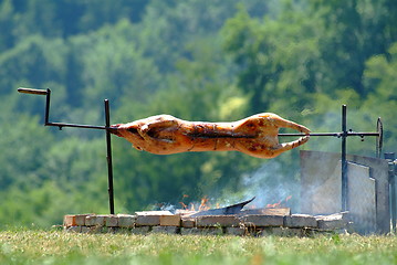 Image showing suckling pig