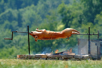 Image showing suckling pig