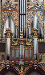 Image showing Organ