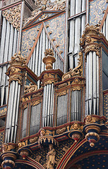 Image showing Organ