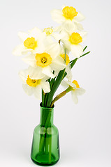 Image showing Daffodils Bunch