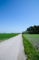 Image showing Road in a rural landscape